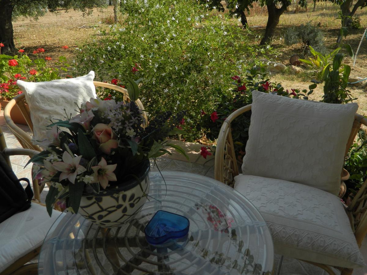 Bed and Breakfast Uliveto House Кастелламмаре-дель-Голфо Экстерьер фото