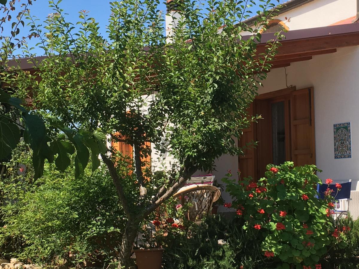 Bed and Breakfast Uliveto House Кастелламмаре-дель-Голфо Экстерьер фото